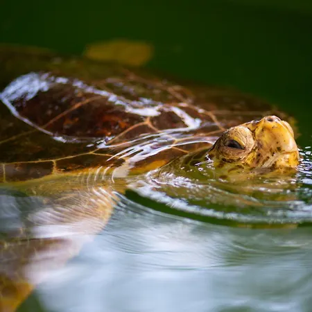 Blue Island Βίλα *